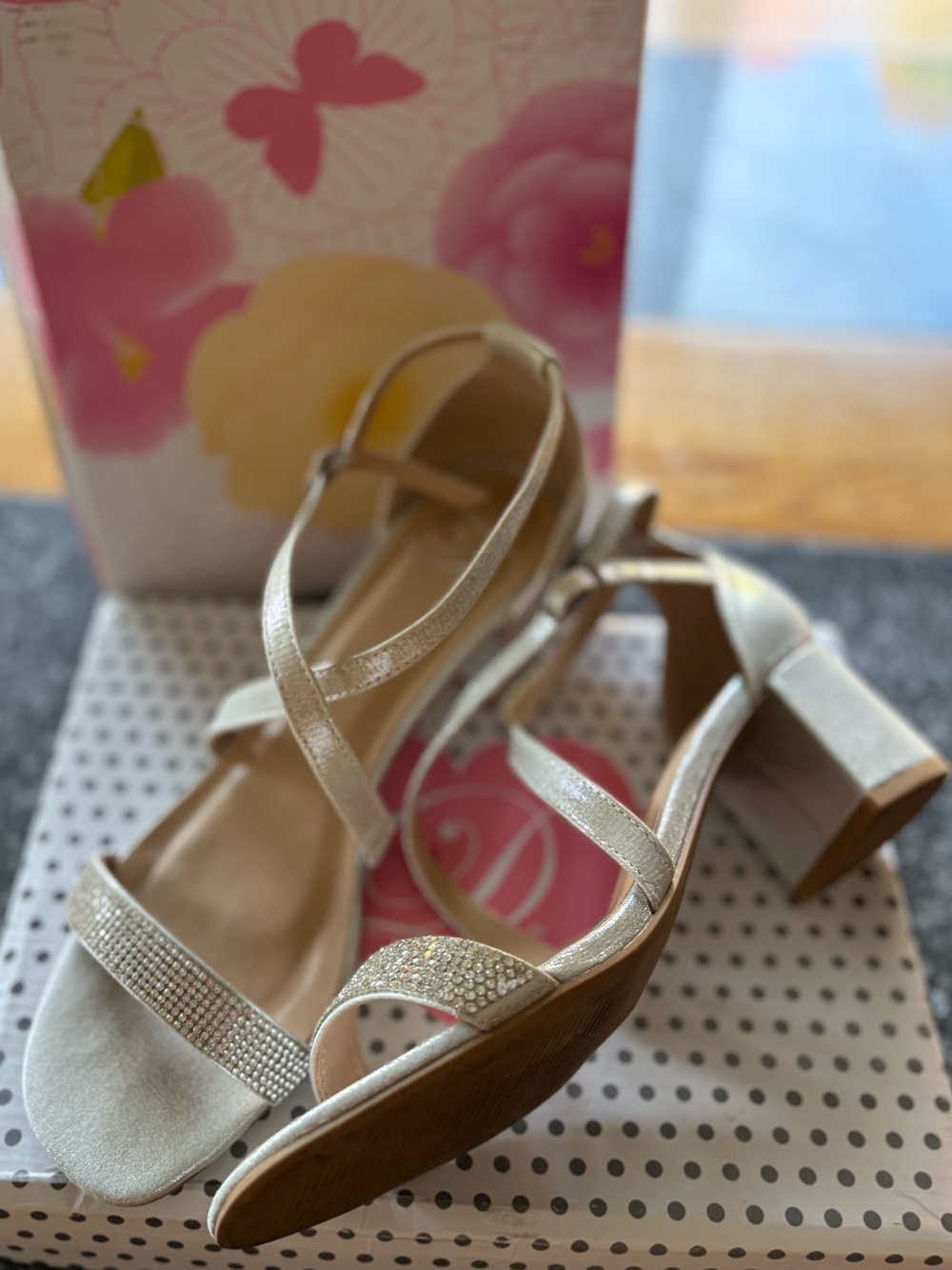 Cercie Silver Low Block Heel Sandals